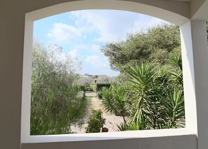 Camilla A Otranto * Alimini